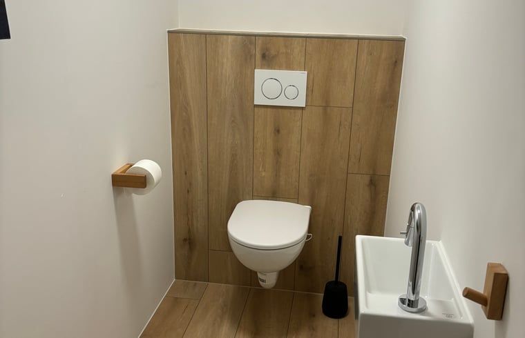Elegant toilet with wooden accents at Huisje in De Koog, Texel, offers modern facilities.