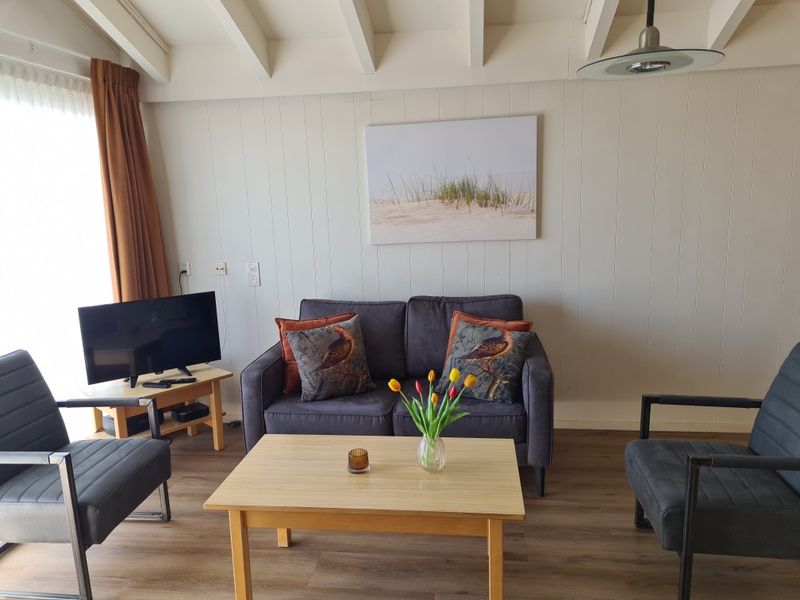 Modernes Wohnzimmer des Motel Texel Apartment Y in De Koog, Texel, ausgestattet mit einem bequemen Sofa und einem Fernseher.