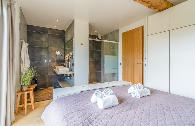 Luxury bathroom en suite in Holiday cottage in De Koog, Texel, with modern finishes.