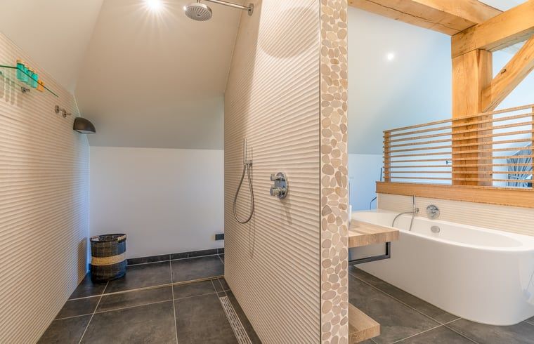 Walk-in shower in modern bathroom of cottage in De Koog, Texel.