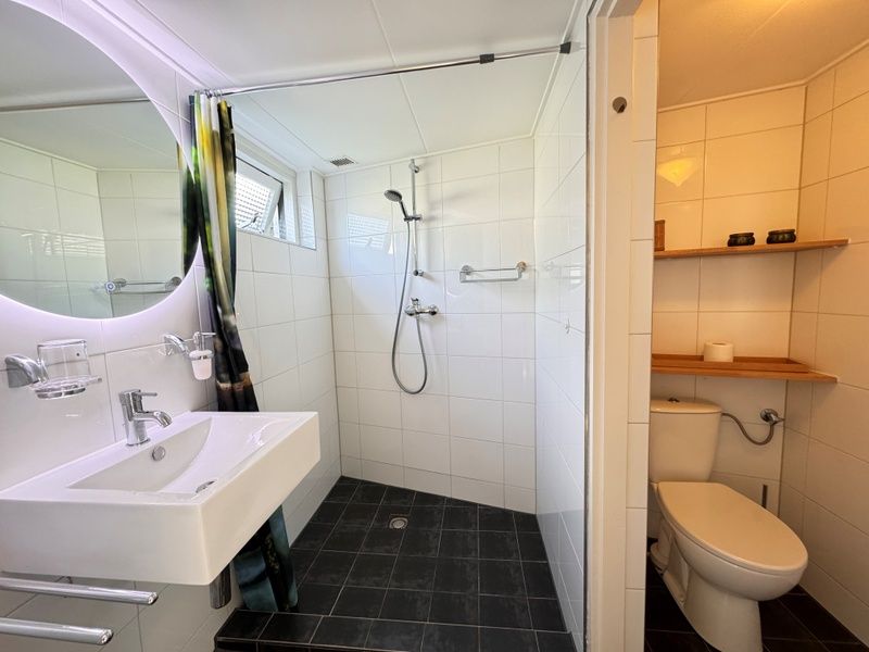 Sonnige Terrasse des Ferienhauses Texel D in De Koog, Texel mit gemuetlicher Essecke und Gruenpflanzen.