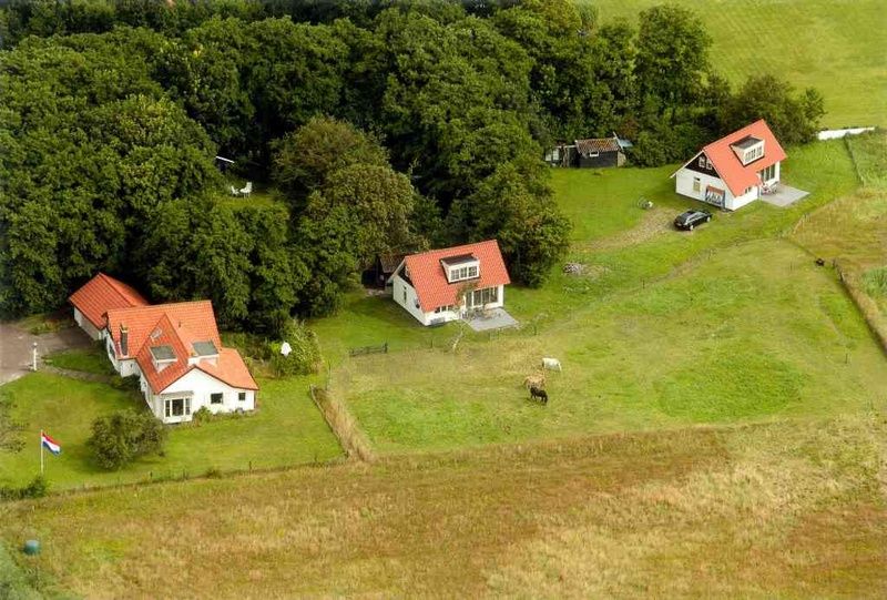 Unterkunft 0102399 - Ferienhaus Texel - De Ruif