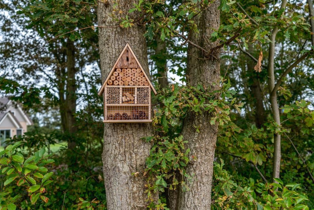 IJsvogel 10 in De Koog Texel met insectenhotel in de natuurlijke omgeving.