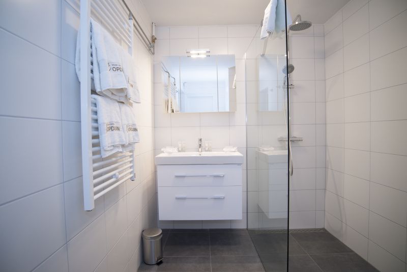 Luxury bathroom in Grand Hotel Opduin - Holiday home C, De Koog, Texel, with walk-in shower and modern sink.
