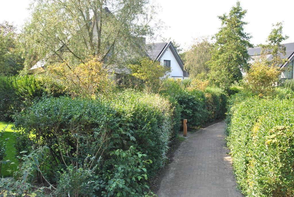 Gruene Umgebung von Tapuit 10a, Ferienhaus in De Koog, Texel mit Wanderweg.