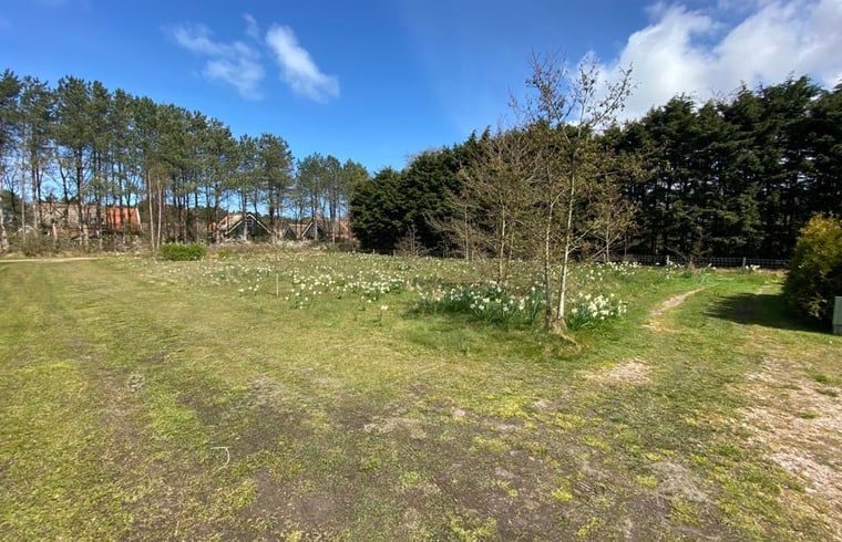 Extensive lawn at Holiday home in De Koog, ideal for outdoor activities, Texel, Wadden Islands.