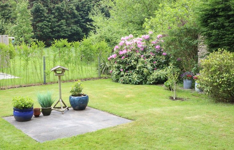 Large garden with colorful flowers at Holiday home in De Koog, Texel, Wadden Islands.