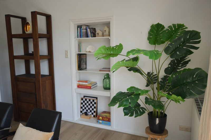 Bookcase and green plant in Plevierstraat 24 - Tuunwoal vacation home, De Koog, Texel for a homely atmosphere.