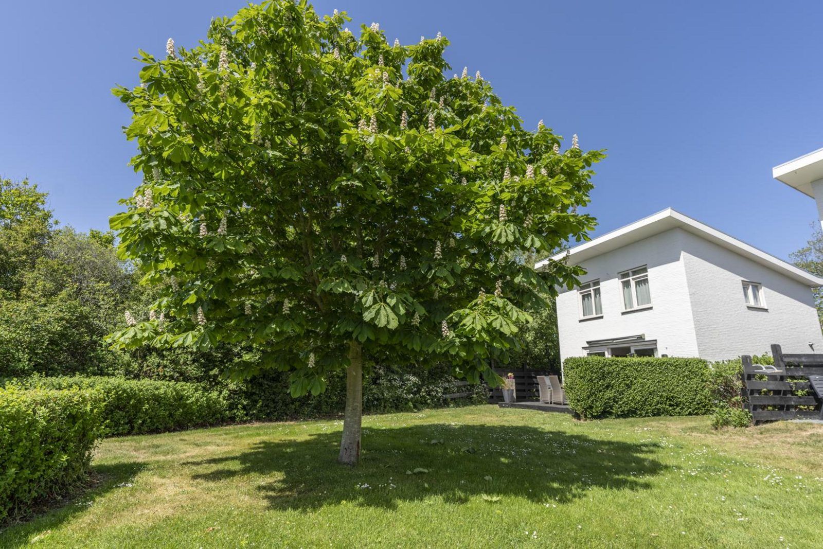 Guest house 0102632 - Holiday property Texel - Strandhuys Wulk