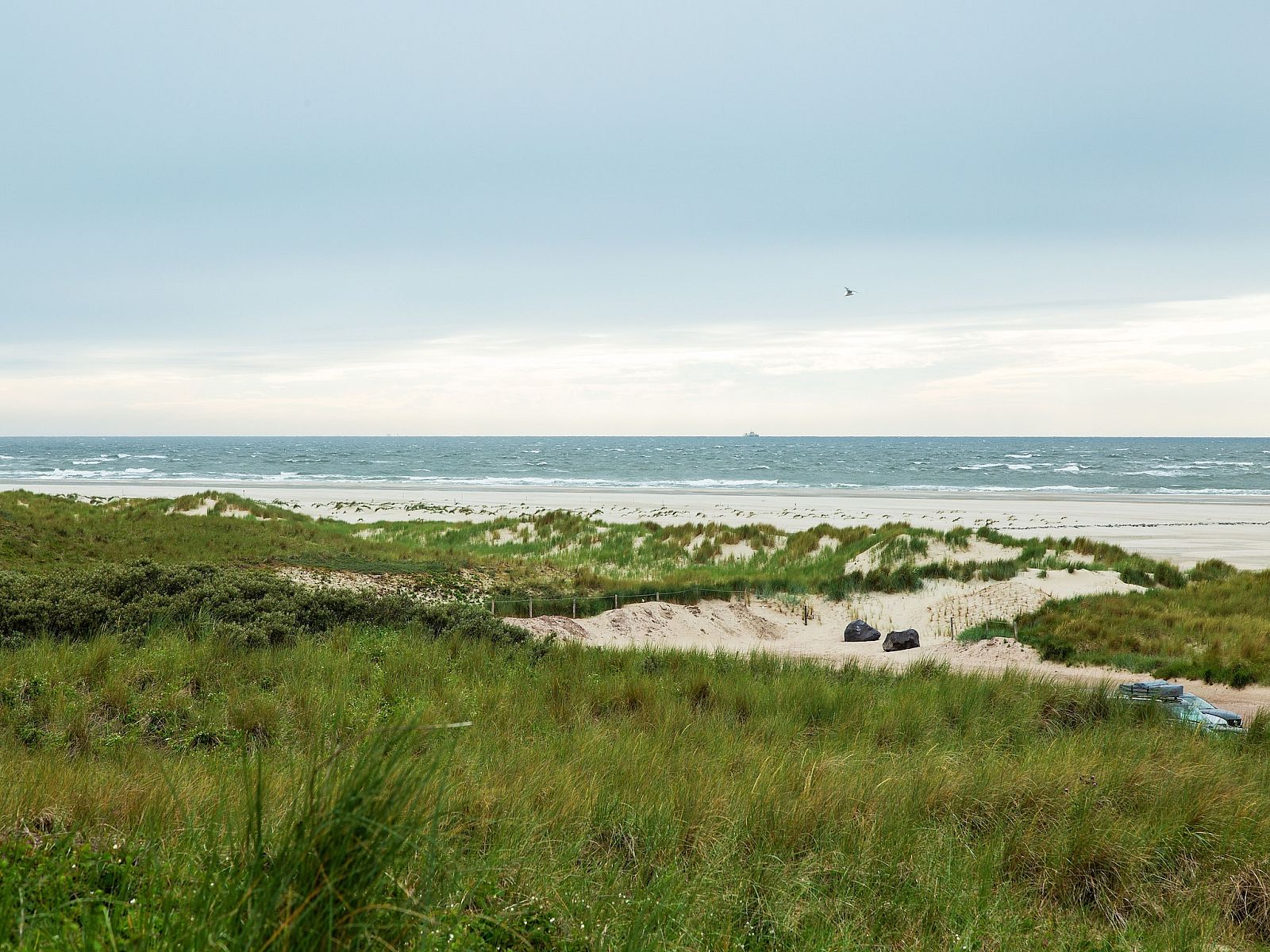 Guest house 0102946 - Holiday property Texel - De Koog nr 6 tm 10- 6 pers woning de luxe