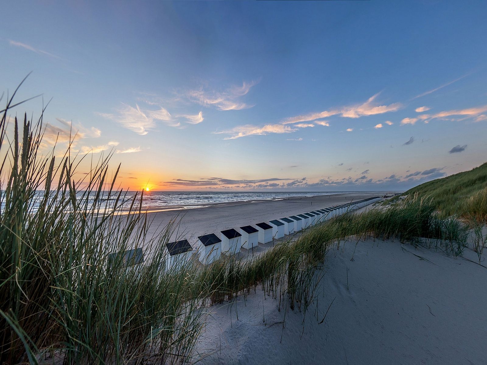 Guest house 0102949 - Holiday property Texel - So What 19