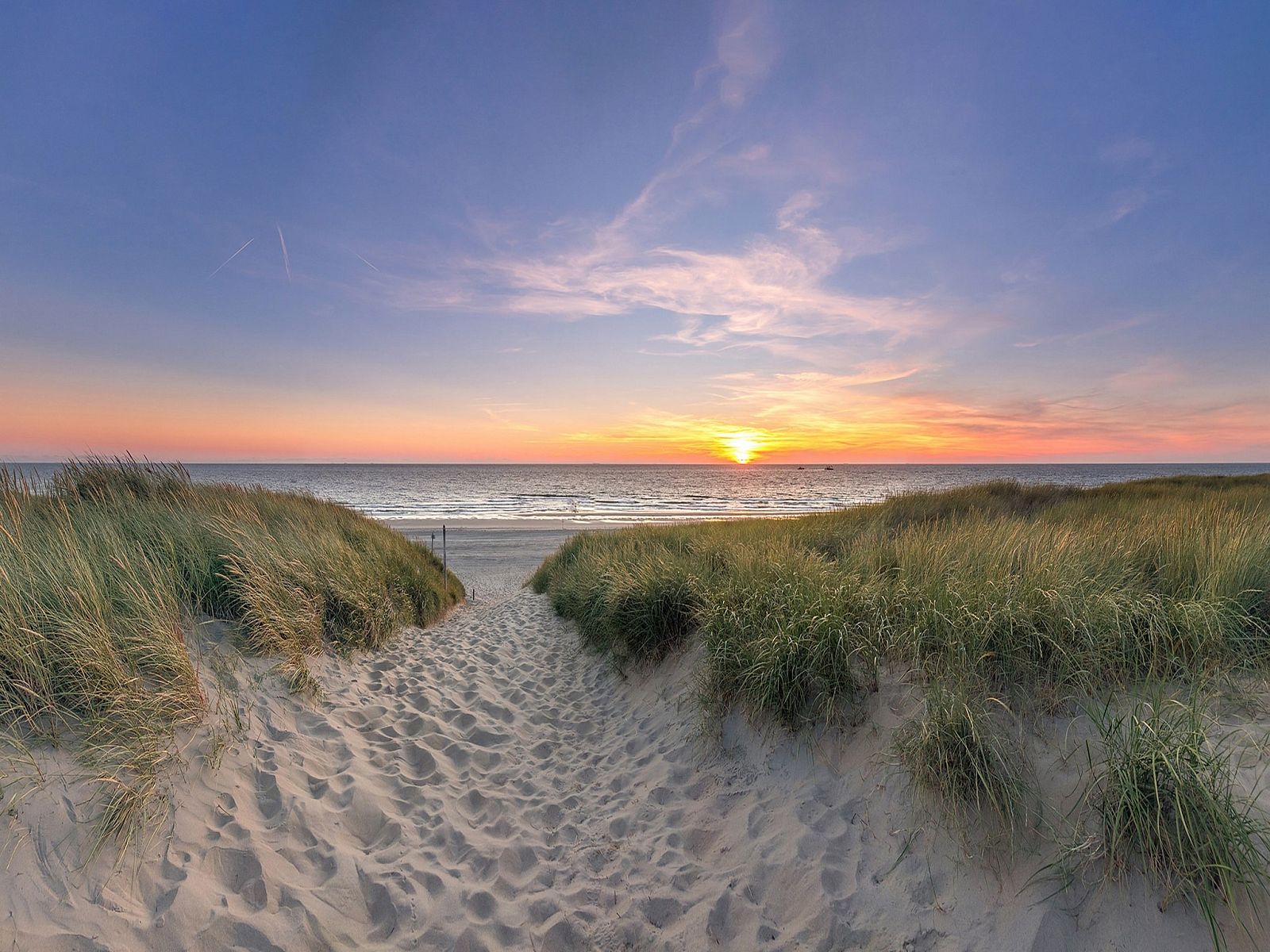 Guest house 0102949 - Holiday property Texel - So What 19