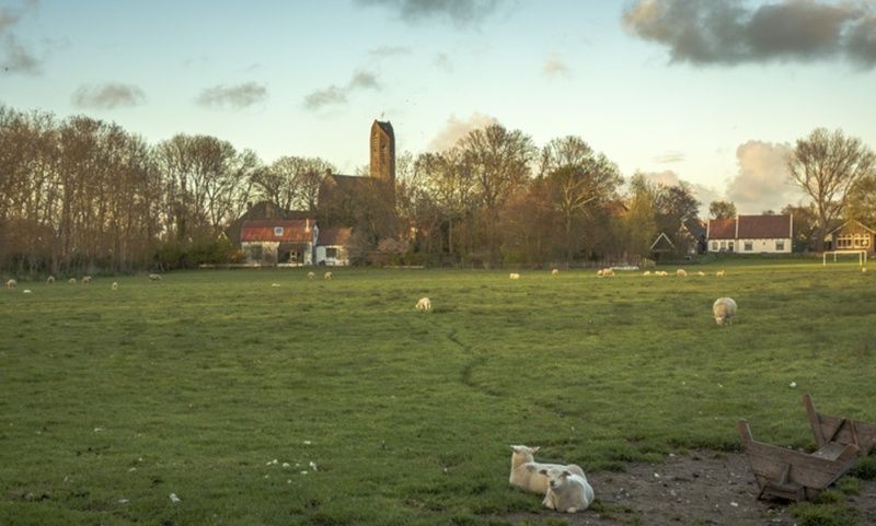Unterkunft 010321 - Ferienhaus Texel - De Kemphaan - Voorhuis