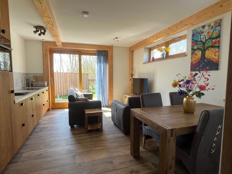 Offene Kueche und Wohnzimmer im Ferienhaus Hoeve Consensus Texel in Den Burg, Texel