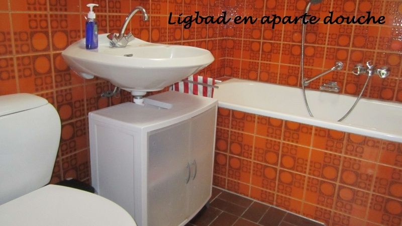 Stijlvolle badkamer met ligbad in Gastvrij vakantiehuis Den Burg, Texel, voor ultieme ontspanning op de Waddeneilanden.