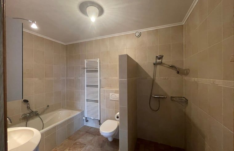 Modern bathroom in Cottage in Den Burg, Texel with bathtub and walk-in shower, ideal for relaxation.