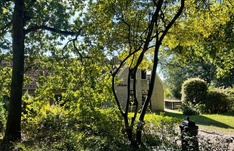 Shady garden surrounding Cottage in Den Burg, Texel, perfect for a quiet vacation.