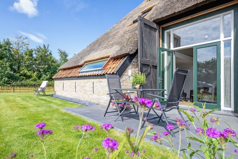 Guest house 0104128 - Holiday property Texel - Het Schaap