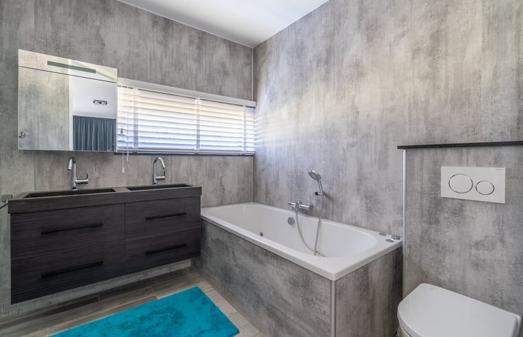 Guest house 0104155 - Holiday property Texel - Vakantiehuisje in Den Burg