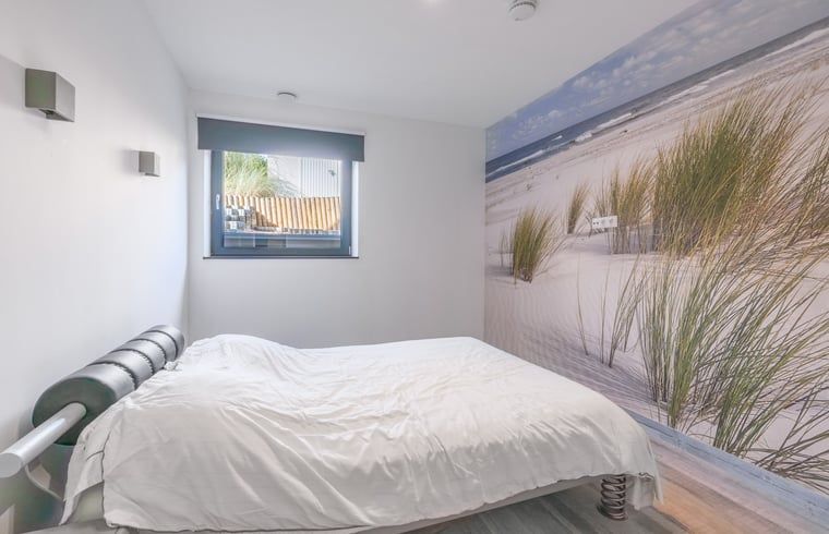 Guest house 0104155 - Holiday property Texel - Vakantiehuisje in Den Burg