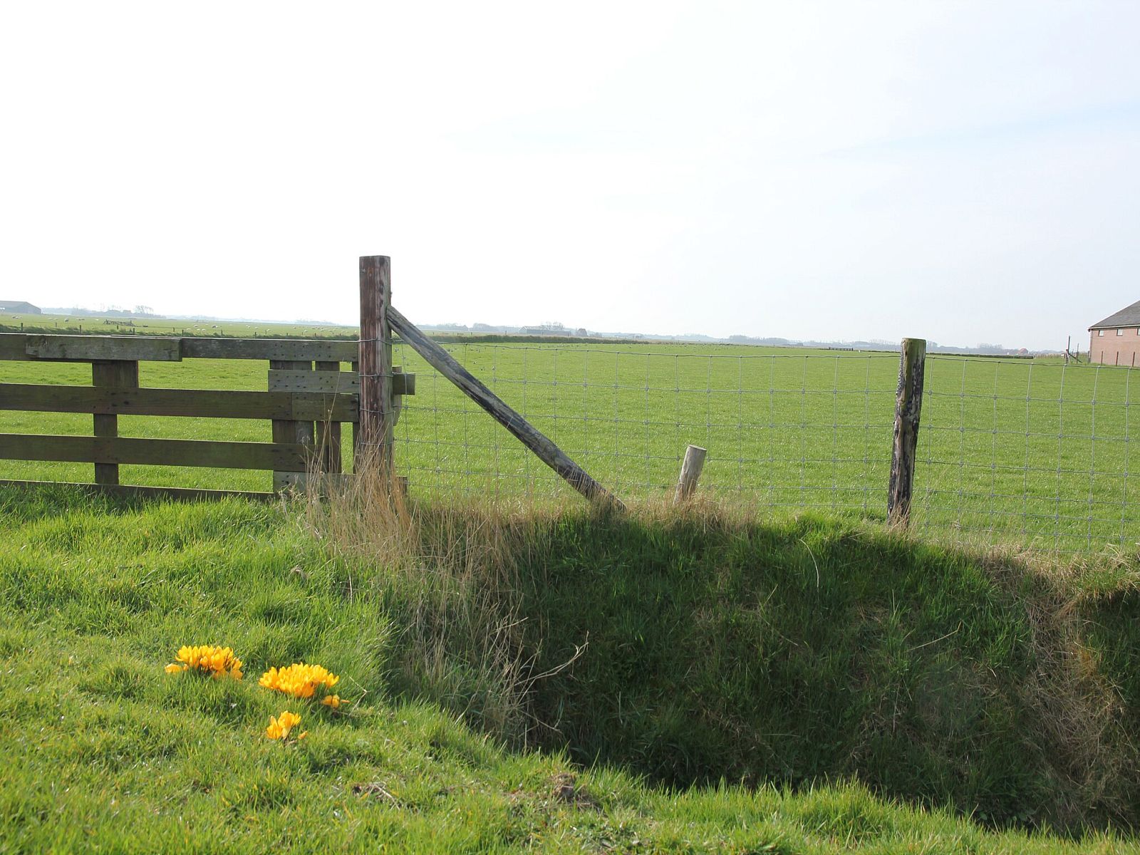 Unterkunft 0104196 - Ferienhaus Texel - Tempelier 39