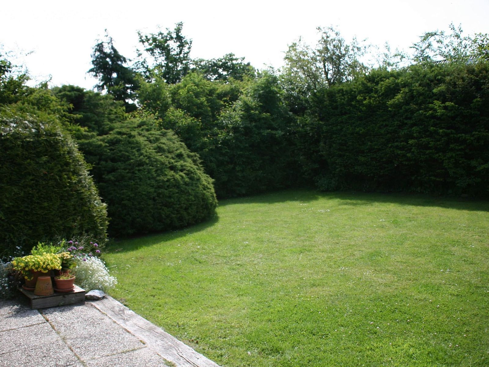 Guest house 010461 - Holiday property Texel - Vakantiehuis in Den Burg mit Möblierter Terrasse