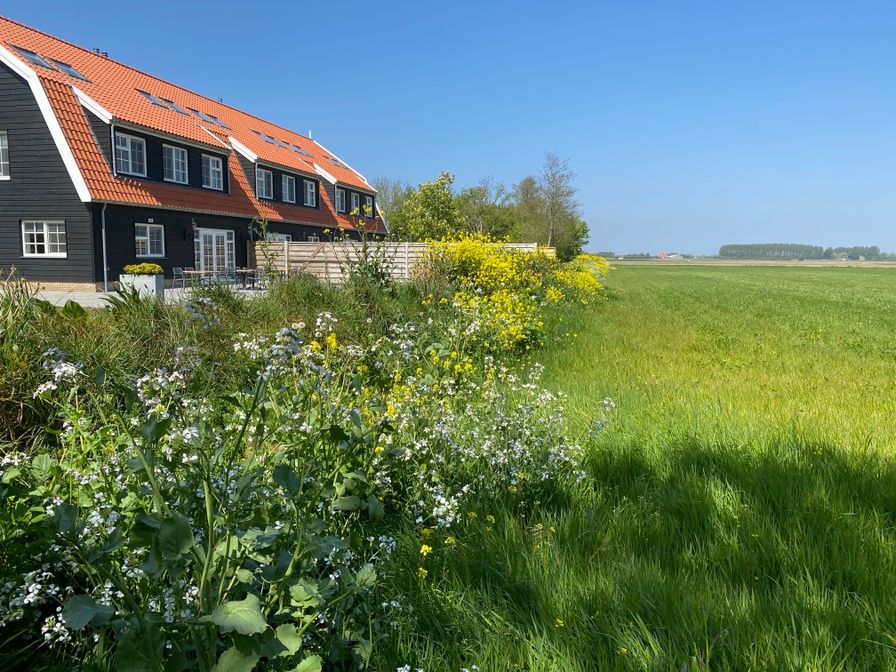 Gruppenunterkunft Nieuw Leven 36p in Den Burg, Texel mit bluehendem Garten und Blick auf gruene Felder.