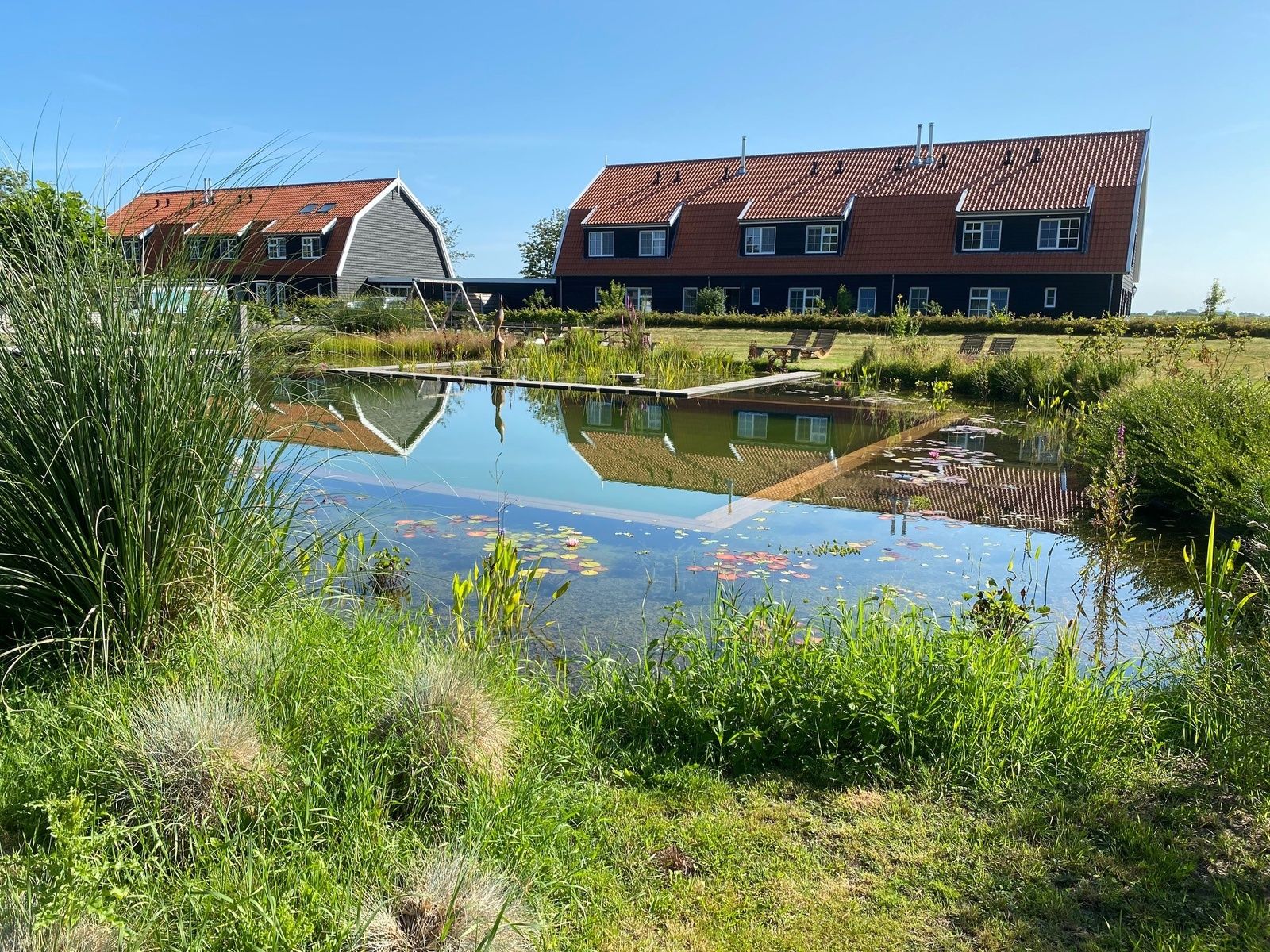 Gruene Umgebung mit Teich bei der Gruppenunterkunft Nieuw Leven 36p, Ferienhaus Texel.