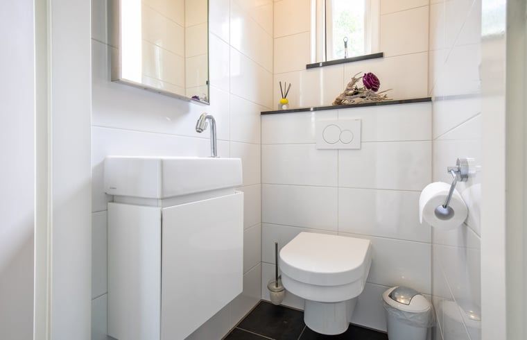 Unterkunft 010479 - Ferienhaus Texel - Huisje in Den Burg