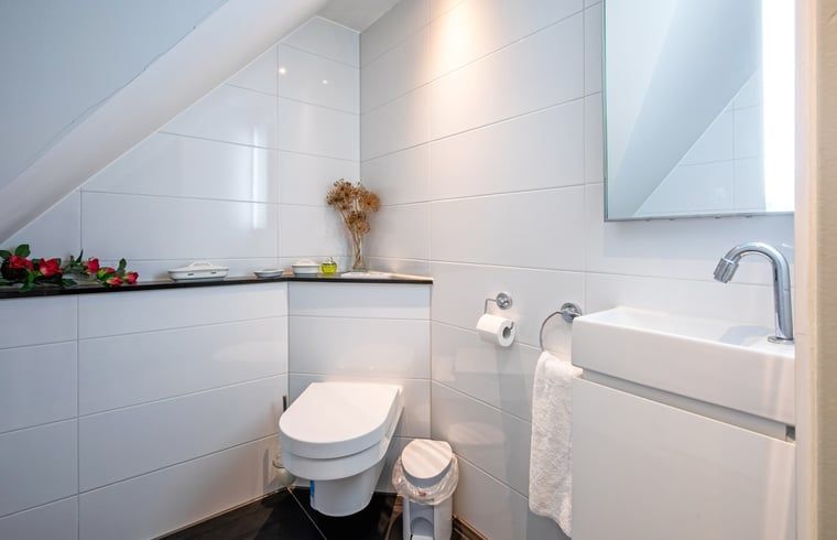 Unterkunft 010479 - Ferienhaus Texel - Huisje in Den Burg