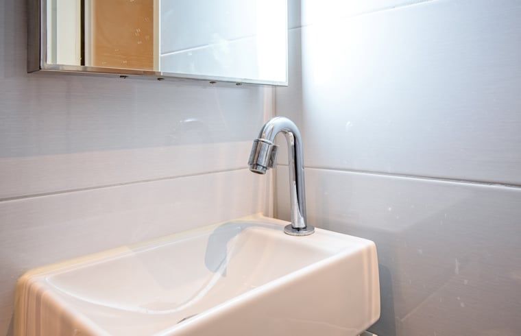 Unterkunft 010479 - Ferienhaus Texel - Huisje in Den Burg