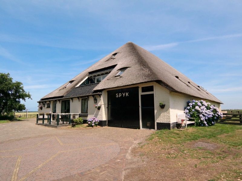 Unterkunft 0105101 - Ferienhaus Texel - Voorhuis