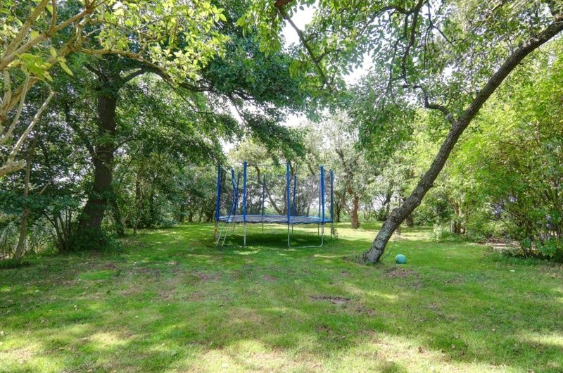 Unterkunft 0105101 - Ferienhaus Texel - Voorhuis