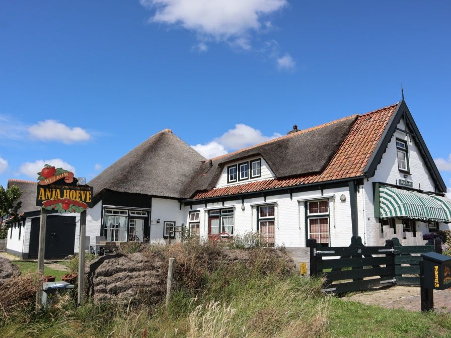 Guest house 0105103 - Holiday property Texel - Appartement Rood