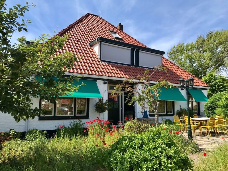 Aussenbereich des Doppelstudios 1 in Den Hoorn, Texel, mit einer sonnigen Terrasse und einem bunten Garten.