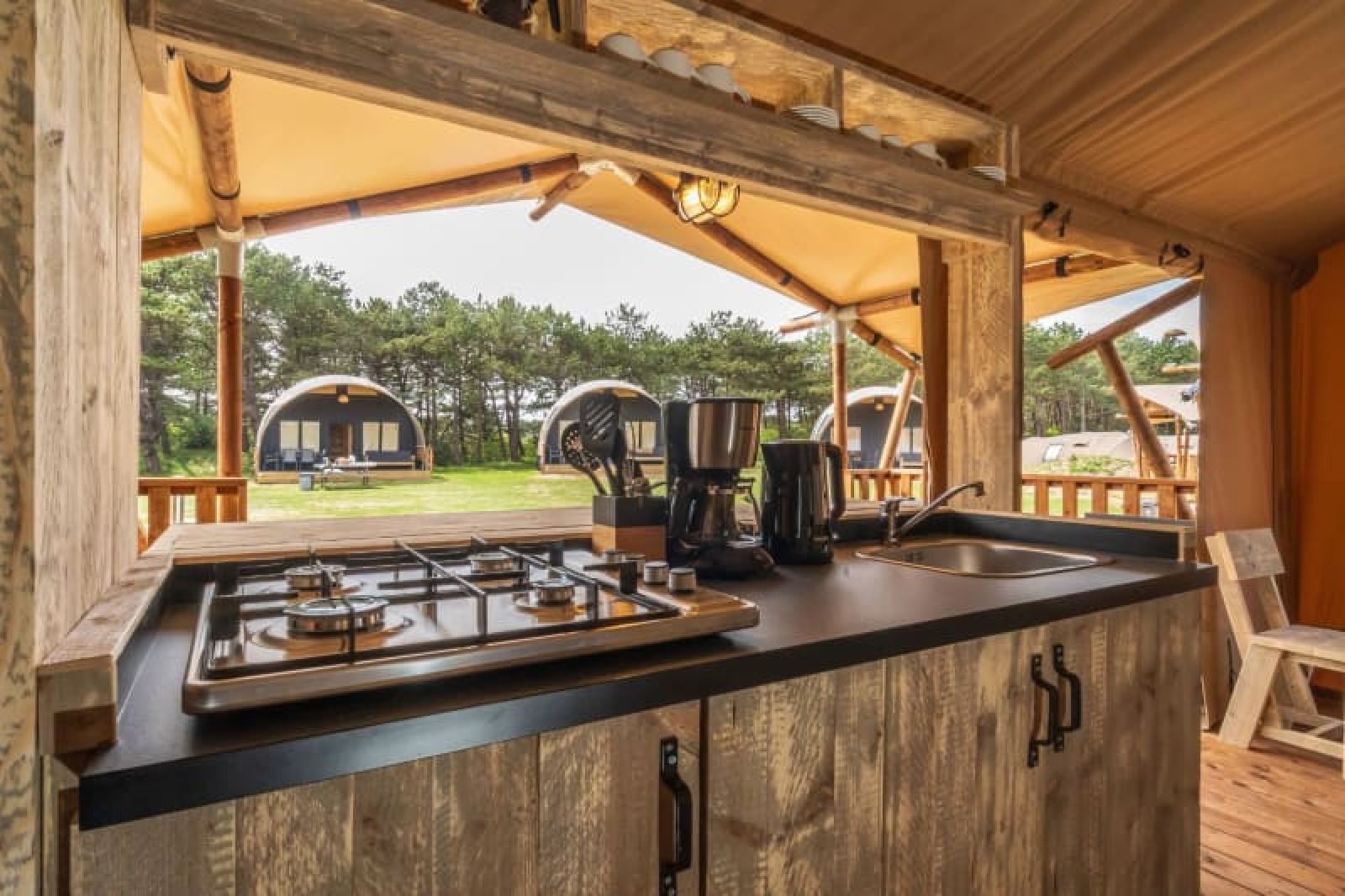 Guest house 010599 - Holiday property Texel - Safari Lodge