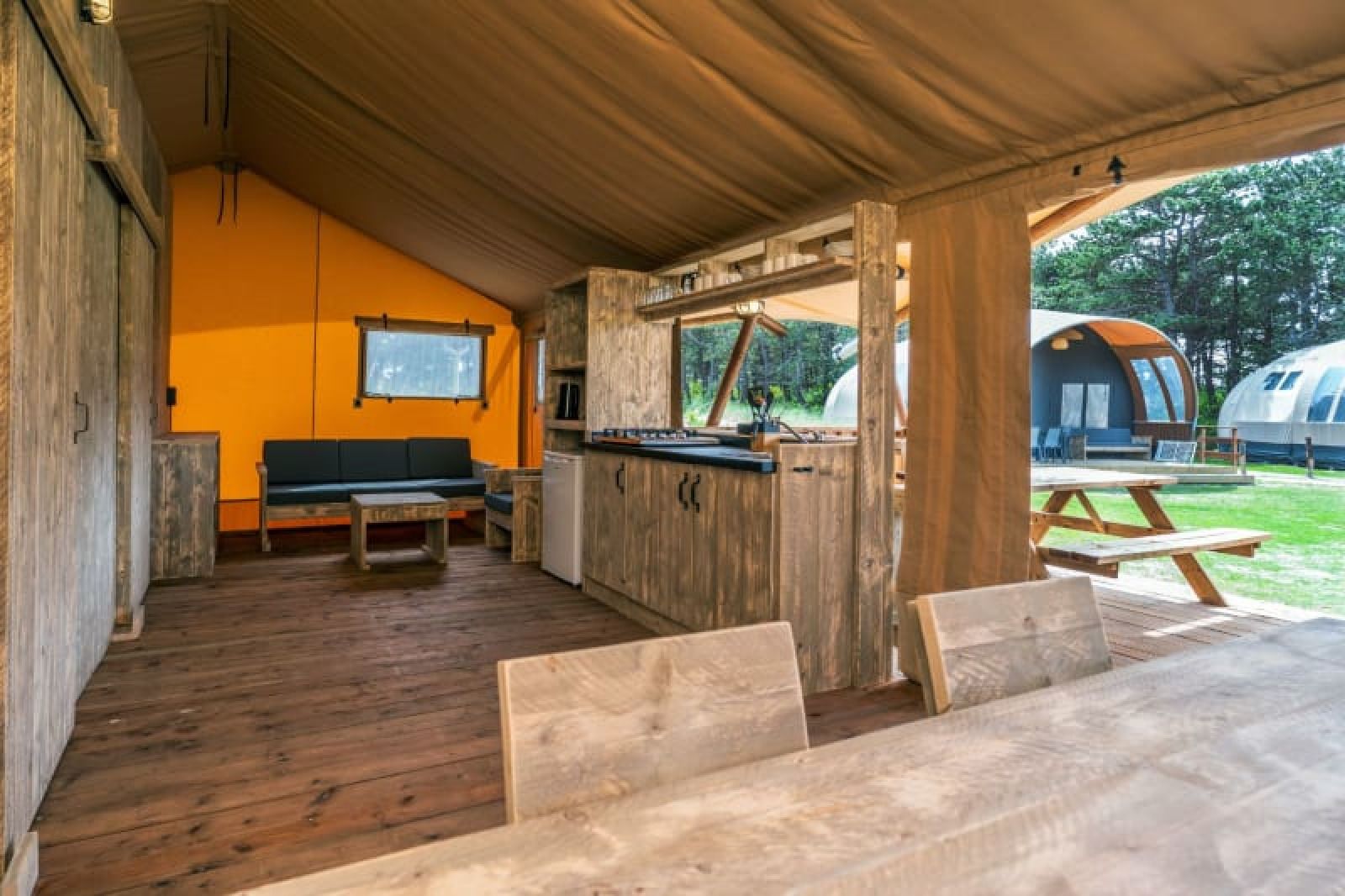 Guest house 010599 - Holiday property Texel - Safari Lodge