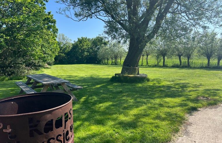 Spacious lawn at Holiday home in Oosterend, Texel, perfect for relaxation in the nature of the Wadden Islands.