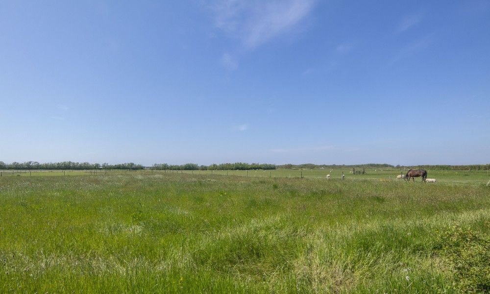 Unterkunft 0106118 - Ferienhaus Texel - Nieuwlanderweg 53A
