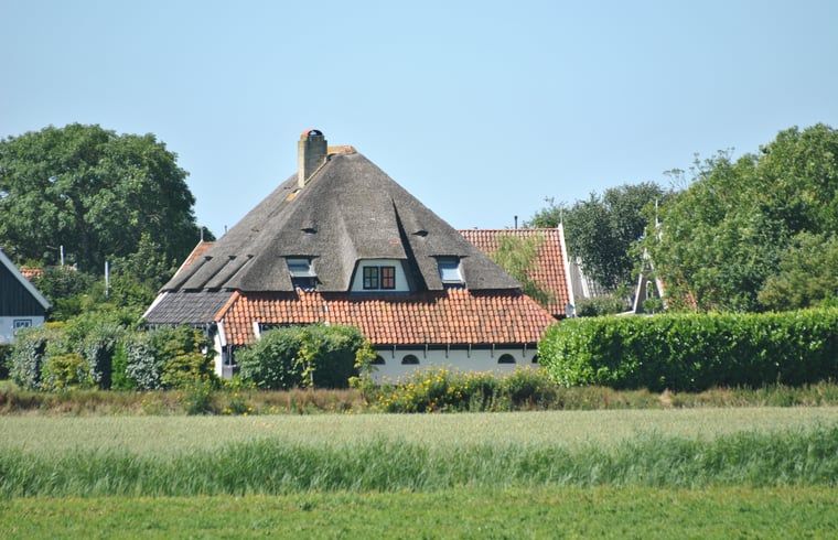 Ferienhaus in Oosterend, Texel, Ferienhaus mit Reetdach und gruener Umgebung auf den Watteninseln.