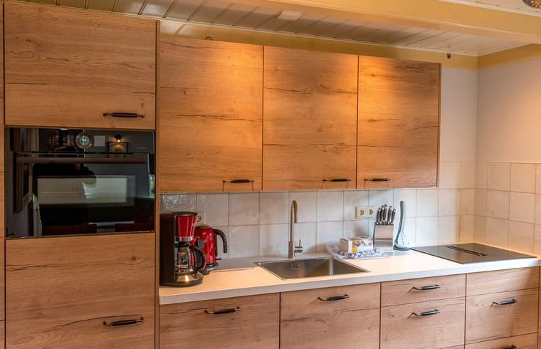 Modern kitchen in Holiday home in Oosterend, Texel, with wooden cabinets and appliances.