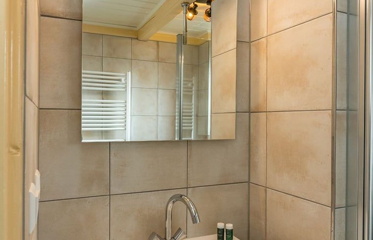 Bathroom in Holiday Home in Oosterend, Texel, with modern sink and mirror.