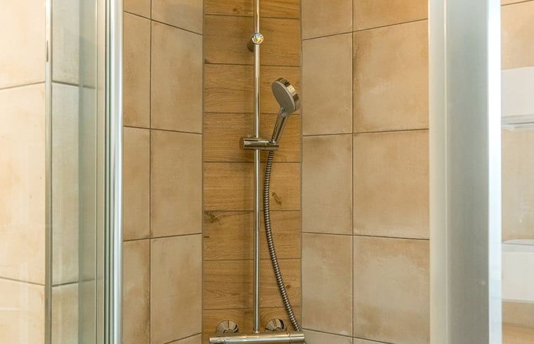 Walk-in shower in Holiday home in Oosterend, Texel, with modern furnishings.