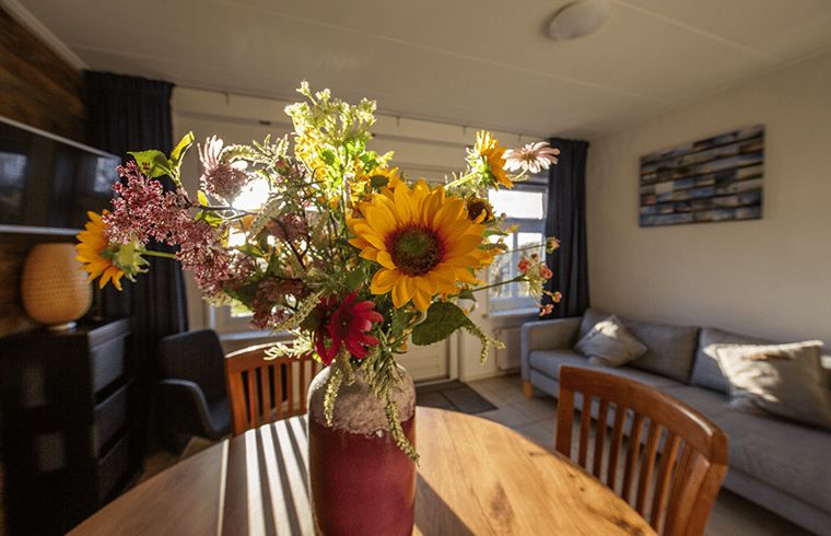 Flower arrangement in living room of Holiday home in Oosterend, Texel. Attractive vacation home on the Wadden Islands.