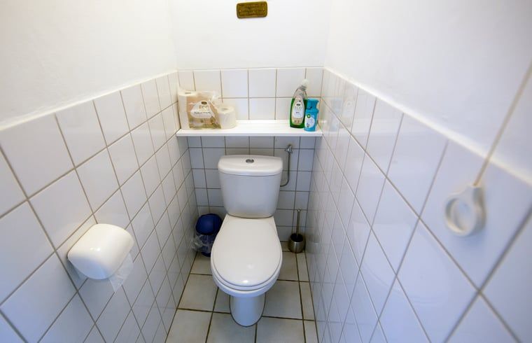 Neat toilet in Holiday home in Oosterend, Texel. Practical vacation home on the Wadden Islands.