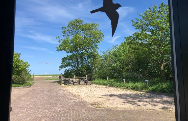 View from Holiday home in Oosterend, Texel with bird silhouette. Quiet vacation home on the Wadden Islands.