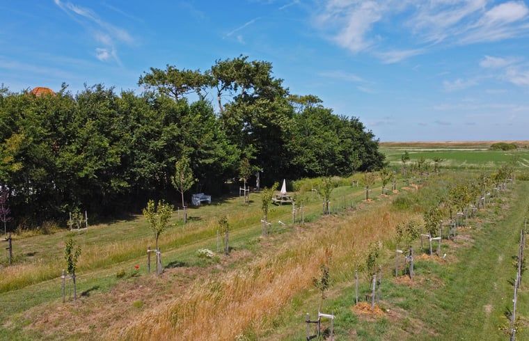 Orchard near Holiday home in Oosterend, Texel. Beautiful vacation home with nature on the Wadden Islands.