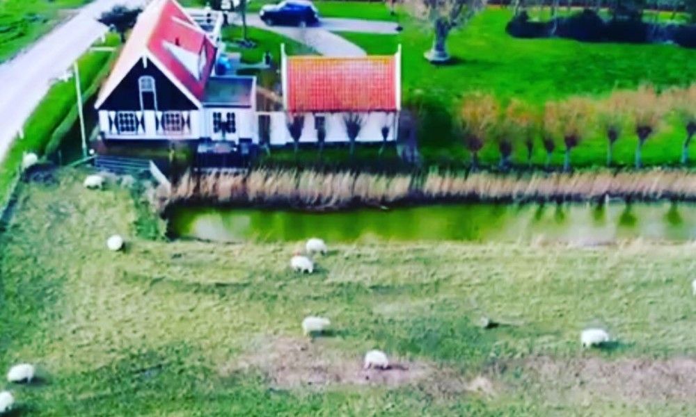 Unterkunft 0106129 - Ferienhaus Texel - 't Kaapshuussie