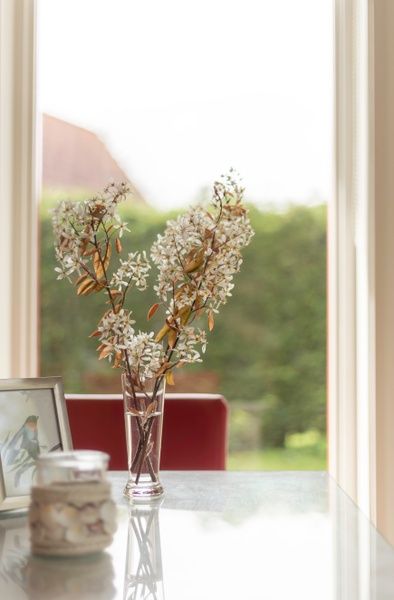 Detail der Blumen auf dem Tisch in Typ II+ - Nr. 77 Stieglitz, Ferienhaus in Oosterend Texel.