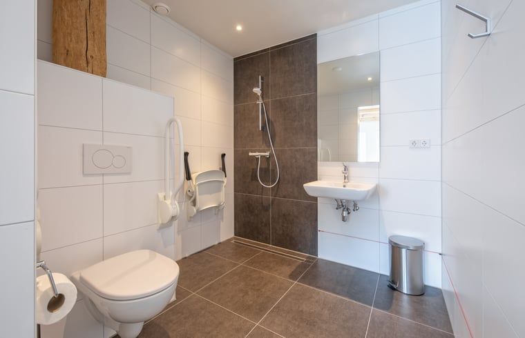 Geraeumiges Badezimmer im Ferienhaus in Oudeschild, Ferienhaus Texel, mit begehbarer Dusche und modernen Annehmlichkeiten.